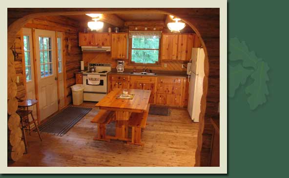 Log Cabin Kitchen