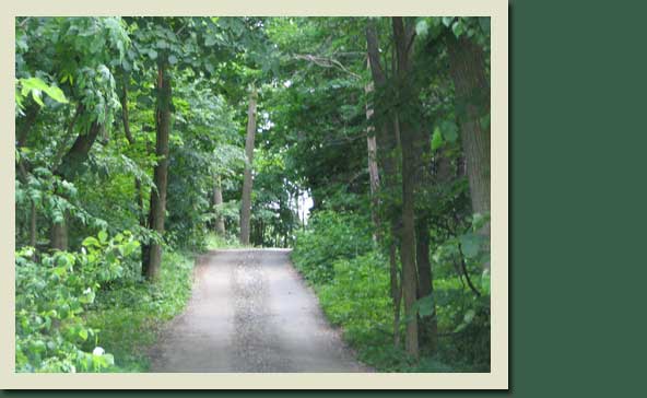 amish country log cabin lodging