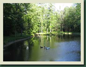 Goshen Log Cabin Lodging